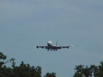 747/177/landung-einer-atlas-cargo-boeing-747 Landung einer Atlas Cargo Boeing 747 in Frankfurt am Main (FRA) am 07.08.2008.