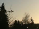 Landung der United Airlines ...  Frank Maczkowicz 23.03.2011