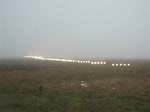 Eine Boeing 767 der ...  Matthias Weber 17.02.2010