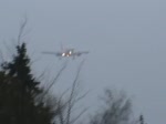 Air Berlin A 319-112 ...  Frank Maczkowicz 12.03.2011