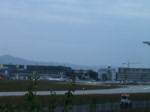 Lufthansa-Airbus A319-100 bei der Landung auf dem Achtgr��ten Airport der ...