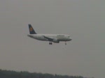 Airbus A39-100 von Lufthansa ...  Matthias Weber 17.02.2010