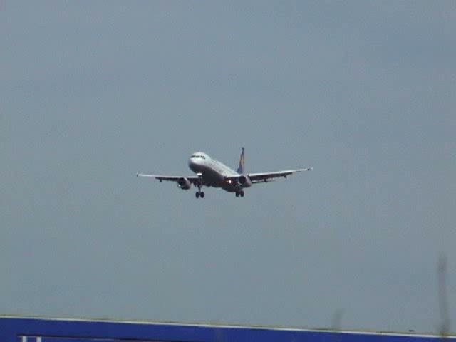 Ein Airbus A 321 der Lufthansa bei der Landung in Frankfurt am Main am 07.08.2008.