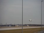 Condor D-ABUP Boeing 767-3Q8(ER)bei der Landung auf der Nordwestbahn in Frankfurt 31.3.2017