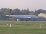 Lufthansa A 321-131 D-AIRO beim Start in Berlin-Tegel am 18.09.2013