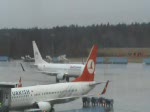 SunExpress B 737-8HX TC-SNE am 10.03.2009 auf dem Flughafen Kln-Bonn