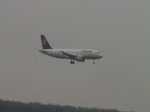 Airbus A39-100 von Lufthansa bei der Landung in FRA (Frankfurt am Main)
